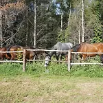 Tenuta Gran Bosco