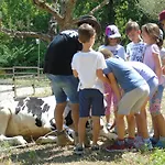 Tenuta Gran Bosco Деревянный коттедж
