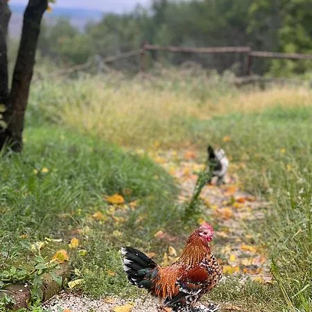 بيت خشبي Tenuta Gran Bosco