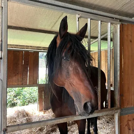 Hytte Tenuta Gran Bosco Loro Piceno