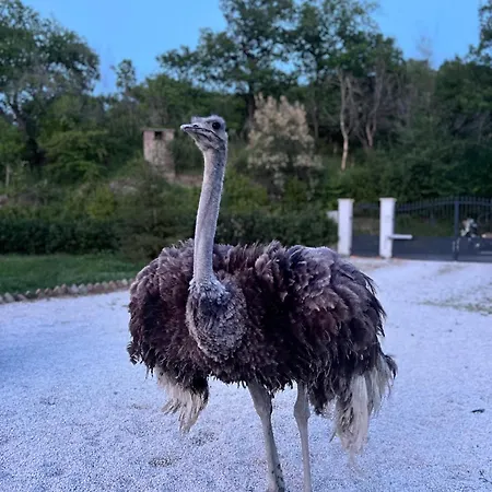 Tenuta Gran Bosco بيت خشبي Loro Piceno