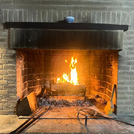 Tenuta Gran Bosco Loro Piceno