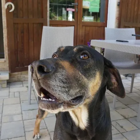 Hytte Tenuta Gran Bosco *