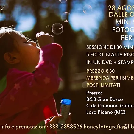 Tenuta Gran Bosco Hytte