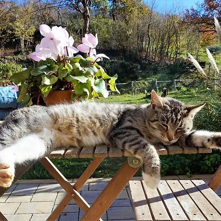 Tenuta Gran Bosco Loro Piceno