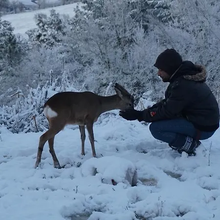 Tenuta Gran Bosco Hytte Loro Piceno