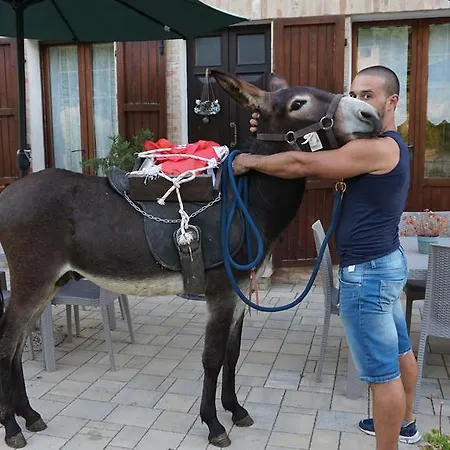 Hytte Tenuta Gran Bosco