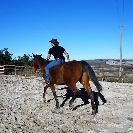 Hytte Tenuta Gran Bosco *