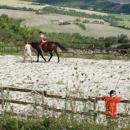 Tenuta Gran Bosco Loro Piceno