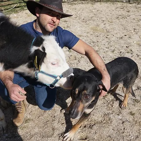 Hytte Tenuta Gran Bosco *