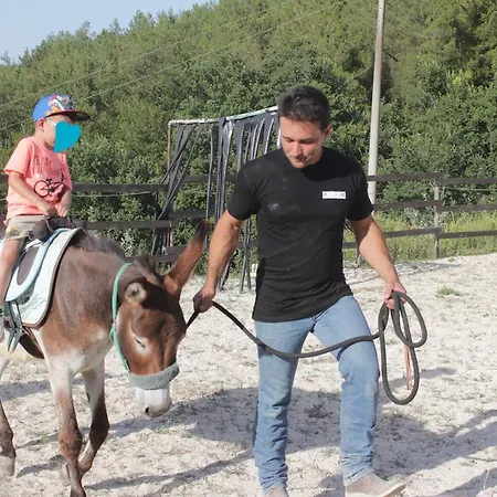 Tenuta Gran Bosco Loro Piceno