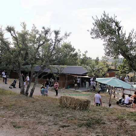 Tenuta Gran Bosco Loro Piceno