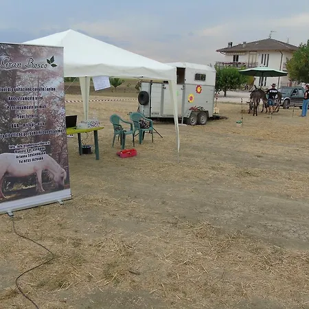 Tenuta Gran Bosco * Loro Piceno