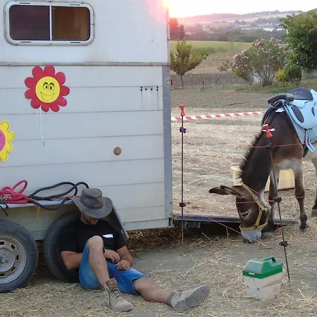 Tenuta Gran Bosco Hytte