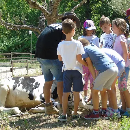 Tenuta Gran Bosco بيت خشبي