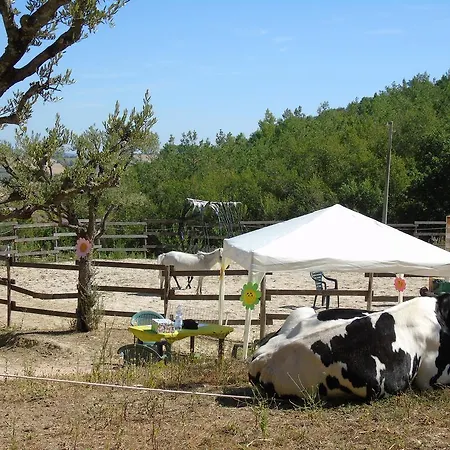 Tenuta Gran Bosco Loro Piceno