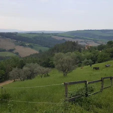 Hytte Tenuta Gran Bosco Loro Piceno