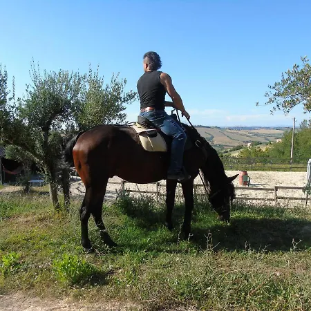 Hytte Tenuta Gran Bosco Loro Piceno
