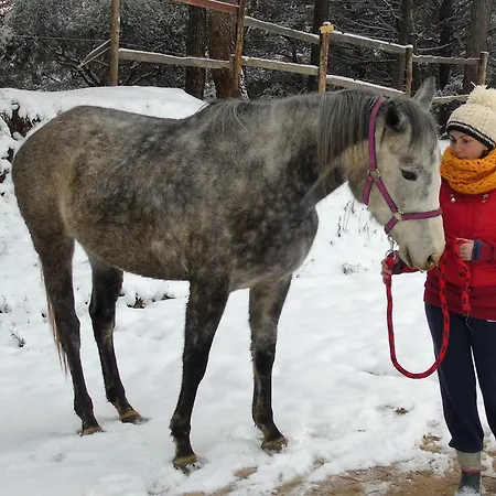 Hytte Tenuta Gran Bosco