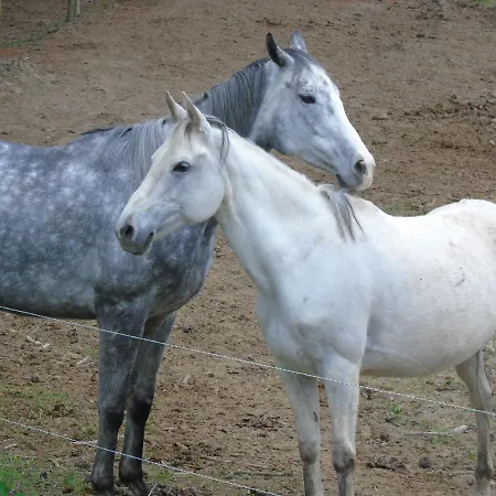 Tenuta Gran Bosco Hytte