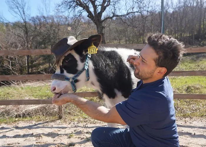 Tenuta Gran Bosco * Loro Piceno